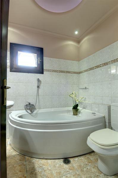 Iatrou Guesthouse Portariá Rom bilde